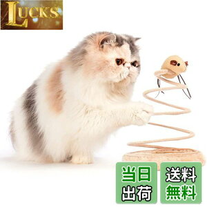 yzL ] lY~ Lpmߋ VԔ TCUʂ V ^s XgX L炵̂ (˂)