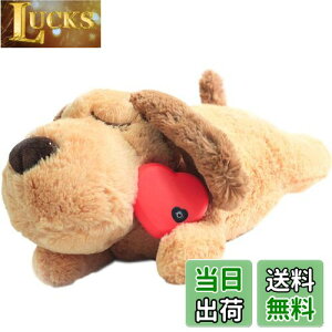 yzDEWU ybgpn[gr[gʂ݁Aqŝ\tgybgg[ʂ݃X[sOofBs⏕sɘa⏕ʂ݃X}[gL