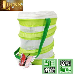 yz P[X P[W lbg ܂ݎ RpNg ̏W  肩 V (14x15cm ی^)