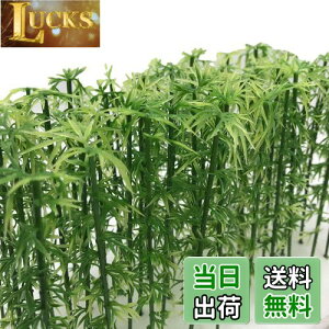 yzmDauStagen   | V̖   X ͌^ NQ[W WI} S z p  ~j`A 14.| 12cm 20{