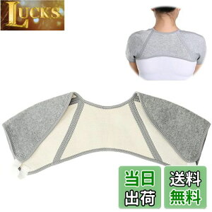 yz[RICISUNG] pT|[^[ p ̕ی EH[}[ \tg₦h~  ۉ [΍ iO[j