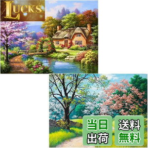 yz5D_ChA[g Lbg _CAhr[YGLbg DIYEG|Lbg 5D UCNA[g nhCh 킢 |pi  _Chh Sʓ\t