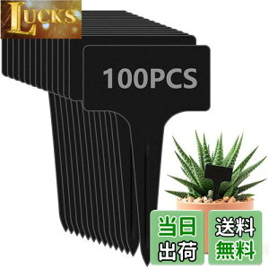 yzzakata |x A^O Ax  T^x 100 | Ԓd A K[fjO Ďgp\ K[fjO Ŕ ~j CeA |pi