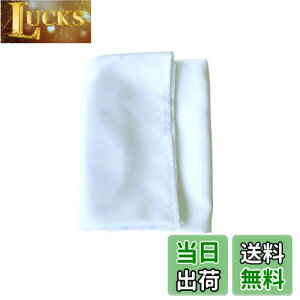 yzC~ 110cm 3.5  T @ V  [ كJo[ ӂ낵  |GXe 唻 n (1, )