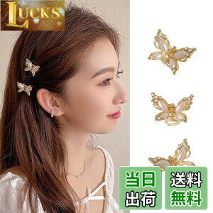 ALLMIRA wANbv ~j 3Zbg  Nbv  oXNbv  wAANZT[ X  ONbv wAs p[  킢 X O wA hair clip