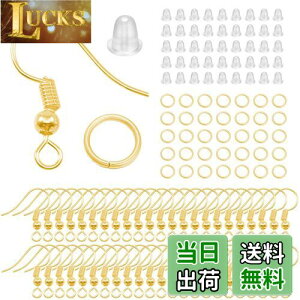 yzyArti-CipeszsAXtbN 100gi300jZbg ۋʕt ސjsAX AM[Ή Lb`t sAX WG[p t WvO p[c DIYޗ  (