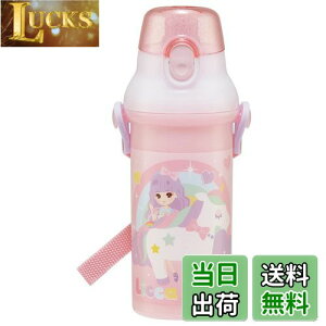 yzXP[^[(Skater) qp vX`bN  480ml vbVJ R qɗD y RۉH { J 23 ̎q PSB5SANAG