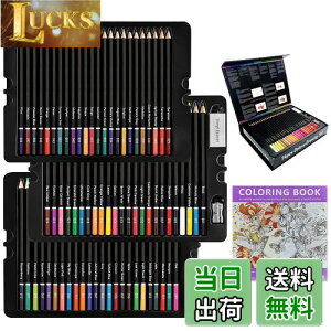 yzRoleness FM 72F  q l̓hG FMZbg vFM _炩c 낦҂ v[g hG S Mt