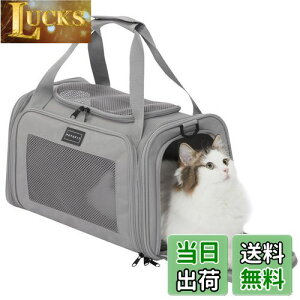 yzPETSFIT ybgL[ ܂肽 L L[ obO  E^LpE^Ep LCȂ ԍ/hCu/LsO/s/ʉ@/ЊQp O[ STCY