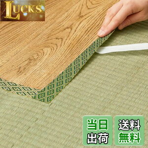 yz(Hagihara) EEȌCpe[v O[ 2m uNo.12v {