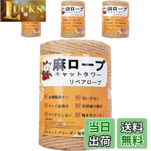 yzyƊďCz[v  6mm R Ђ yA[v L^[ XNb`[ ܌ Lbg^[p ܂Ƃ  DIY |(100m)