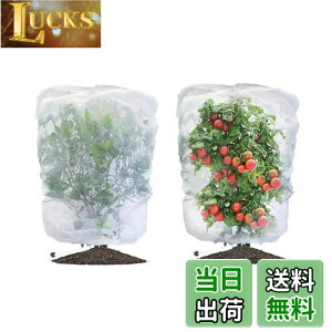 yzLIANHATA hlbg 2Zbg AیJo[ bVВ hlbg 悯Jo[ ؖ ΍ ʋC  Ap ؍͔| ؉v^[p (80*80cm)