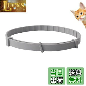 yzItisyou ybg悯 L m~ ybg̒ m~    38cm