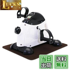 【送料無料】PROIRON フィットネスバイク エクササイズ 静音 小型 サイクリング サイクルマシン ミニバイク 腕・脚用 有酸素運動 ダイエット リハビリ 高齢者運動グッズ 座ったまま 自宅用 運