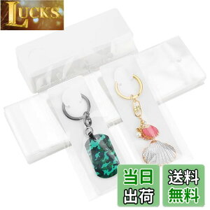 yzPH PandaHall 䎆 uXbg L[z_[p 100 OPPܕt L[O Wp  WJ[h n ANZT[p[c ̔p WG[p nhCh ifBX