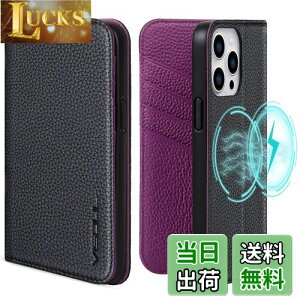 yzVISOUL iPhone 15 ProMax Ή P[X 蒠^ {v MagSafeΉ U[ Sʕی }Olbg J[h[ ACtH15 v}bNX P[X uX^h@\t蒠^ 6.7C` iphon