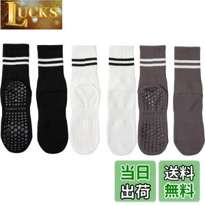 yz[DFsucces] K\bNX ~ KC 3 Õ\bNX  ۉ seBX \bNX RۏLC z z ʋC X|[c tBbglX I[V[YΉ 