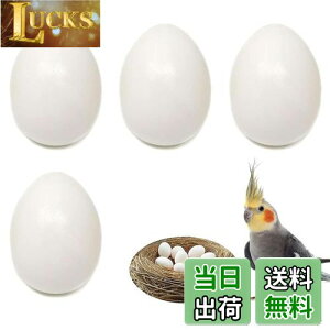 yzPAVIKE U  4Zbg CR tFCN`LGbO bgngɐBpi lHlXg HiTv tFCN_~[GbO IJCR ERCR RUNC