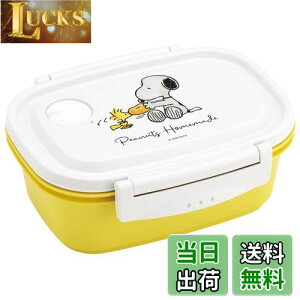 yzXP[^[(Skater) Ny y ٓ M 550ml WΉ V[e ۑe Xk[s[  { XPM4-A