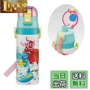 yzXP[^[(Skater) qp XeX   470ml fBYj[ AG 24 qɗDyʃ^Cv ۗp waterbottle X|[c{g 킢 LbY q ǂ r SDC4-