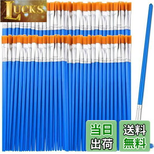 yzDFsucces M GM 50{Zbg 16.5cm ޕM ʕM vf h ʉ G AN yCg