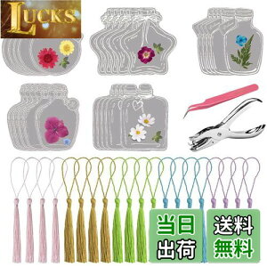 DELUXEFOX Lbg 20Zbg hCt[̂   ԃLbg    ubN}[N  {g AW{  蒠p Ǐp[gp DIY