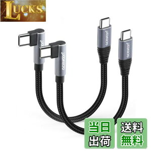 yzaceyoon USB C P[u Z 10cm Type-C L 2{ ő100W }[d ^CvC PL^ 10Z` 480Mbps f[^ CtoC P[u 90x  IX-IX 0.1M for iPhone16 15 V[Y for Galaxy ȂǂU