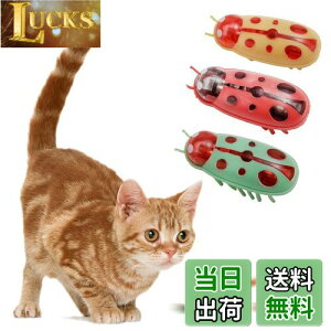 KASELIN d  3Zbg drL񂨂 dCybĝ  L ߋ lV QԂ@\ Cat'sbug! ĂƂ ~jdqJugV LpC^NeBuEgC