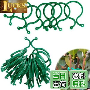 yzUNbv | Nbv AT|[gNbv xNbv oh ̐AT|[gO |p֗Nbv U T|[g ږ؂ 鐫A̗U ʕ