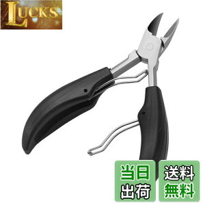 yzPAKESI pܐ؂ p vdl ZLZCCRAIJCȐ^CR`^CREIEp