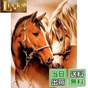 yzReofrey _Ch̊G n, _ChA[g NXXeb` Lbg , Lbg Sʓ\t^Cv r[YA DIY |Lbgz[ Xg CXg[ 