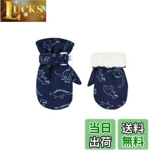 yz[Tidyworm] xr[    ~ Ԃ  ~g h h V LbY  O[u j̎q ̎q qp ΍ ʉ ʊw AEghA (lCr[, 6`2)