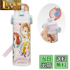 yzXP[^[(Skater) qp XeX   580ml fBYj[ vZX 24 qɗDyʃ^Cv ۗp waterbottle X|[c{g  LbY q ǂ r