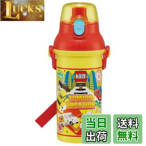 yzXP[^[(Skater)  480ml g~J 24 qp R vX`bN qɗD y { PSB5SANAG-A