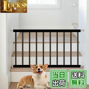 yzTSAYAWA xr[Q[g Ⴂ p[e[V Q[g ႢQ[g ˂莮 44cm  ybg ^tFX (64-71cm, ubN)