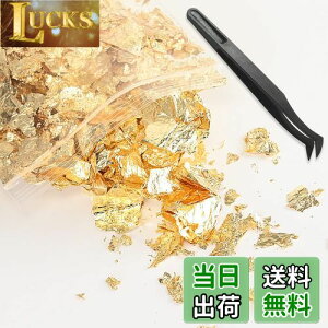 yzBEIHOO  wAp 10g sZbgt zO lCp V[g t[N ͑  l  Ǝ WFlC ZtlC DIYWG[ H|i W 
