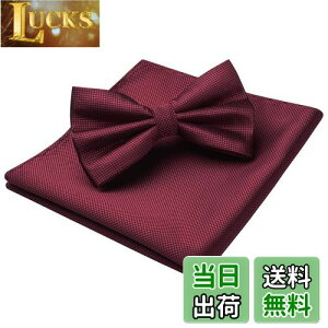 yz[HISDERN]  lN^C Y  `[t Zbg yCY[  n {E^C ԕ uh v[g BR-01