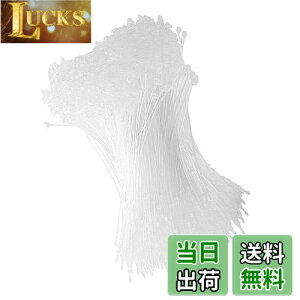 yzDFsucces ^Ot@Xi[ [vbN 1000{ lD ɕ֗ [vs vX`bN Xܗp e[v  ^O Ɩp mp (, 18cm)