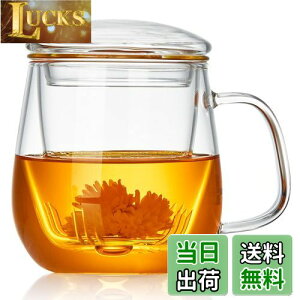 yz|JeB[ t}OJbv ϔMKX eB[Jbv 520ml Infusion Mug  }bO Wt ΑΉ dqWΉ g }OJbv NARbv  [teB[ H