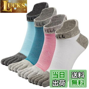 yz[VWELL] ܖ{w\bNX Y ܖ{wC z Ԃ 5{w\bNX JWA RۖhL ʋC lGKp vȌC 4Zbg 25~27cm