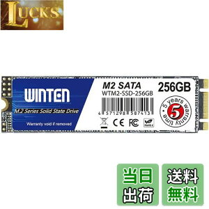 yzWINTEN SSD M.2 SATA 256GB 2280 3D NAND SATA3 6Gb/siőǎ 500MB/s ő发 500MB/sjG[@\ ȓd Ռɋ ^yzWTM2-SSD-256GB 6083
