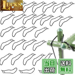 yzBenRan ؉NXoh 30{ | x 16mm 20mm ؉ _ xŒ WCg p[c (A)