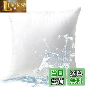 �y���������z�y.co.jp ����zPhantoscope �N�b�V���� ���g 45×45cm �P�i ����V���R���� �R�ۖh�L �􂦂� �_�炩�� �k�[�h�N�b�V���� �������H �h�� �{�����[���� ���O �z�e���d�l ��e���ǂ� ����