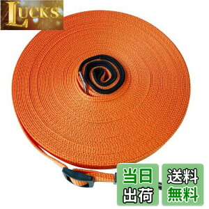 yzp[h O [v  ^E^E^p PEp U Ro ɕ iC v  WP[u (10m, IW)