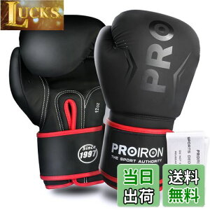 �y���������zPROIRON �{�N�V���O�O���[�u 12oz �{�N�V���O�p�O���[�u �p���`���O�O���[�u ���� �ϋv�������� ���K boxing gloves �����e�i���X�o�b�O�t�� 1�N�Ԃ̕ۏ�