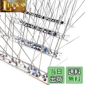 yzONESORA  悯 100%XeX o[hs ϋv y 3mz 悯 XpCN 悯 R LhS JX悯 ̃tQ΍  x_ J[|[g  Ԍ A