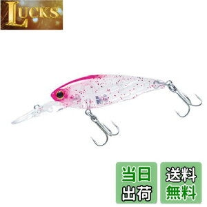 yzDUEL(fG) HARDCORE(n[hRA) A[ LG Vbh (S) 50mm PCsNbhOb^[ F1204-KPRG