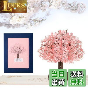 yzKesote bZ[WJ[h  ̃J[h |bvAbvJ[h o^C    t