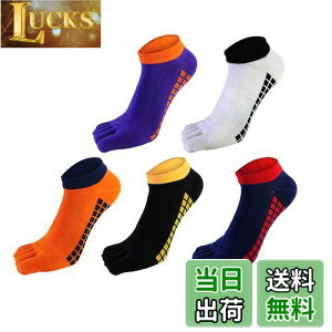 yz[fX] 5{w\bNX C 24-28cm Y ܖ{w\bNX rWlX\bNX VR z RۖhL X|[c\bNX 5Zbg