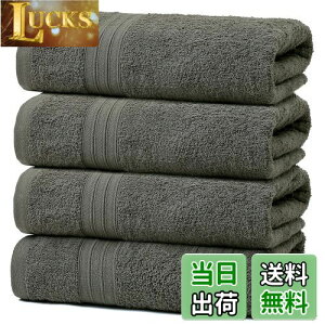 yz100%  4 zeX^C oX^I Zbg ^I Rbg lC ӂӂ ̔G z (oX^I, D)